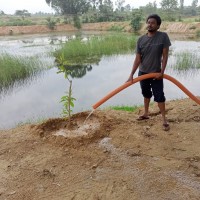 Watering  newly planted  tree plants at Moranapalli eri on 10th Nov 2021